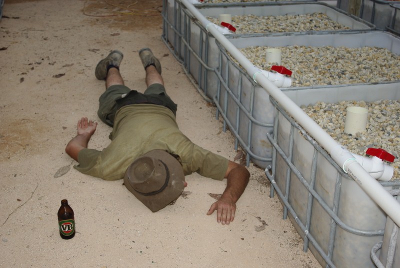 _IGP2054 (800x536).jpg