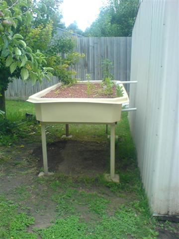 grow bed (Small).JPG