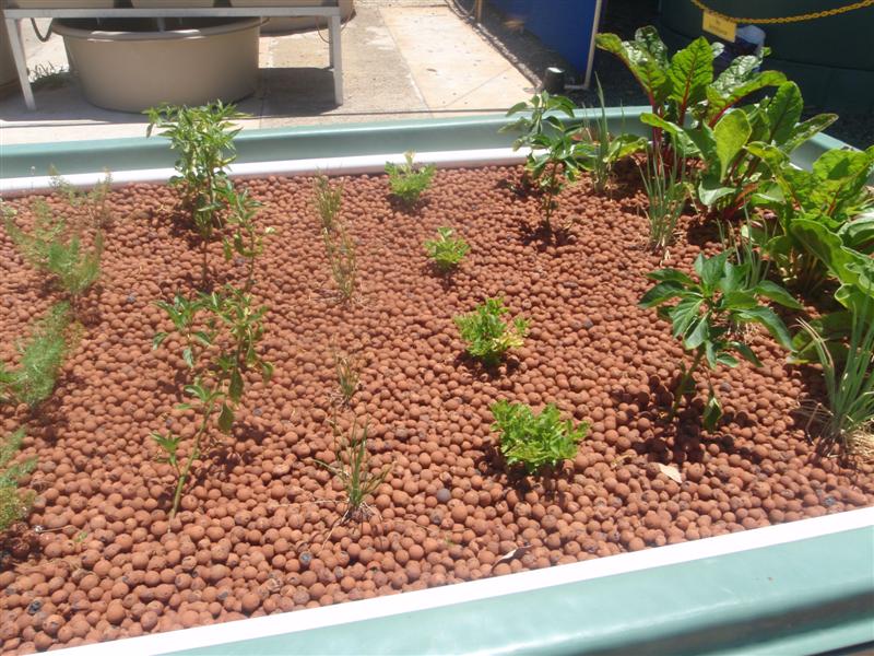 P1130721 (Medium).JPG