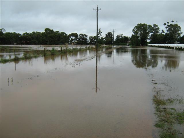 A wet January 2011 077 (Small).jpg