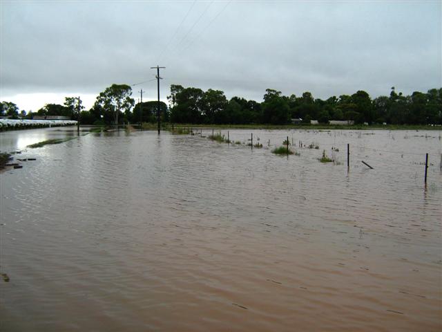 A wet January 2011 080 (Small).jpg