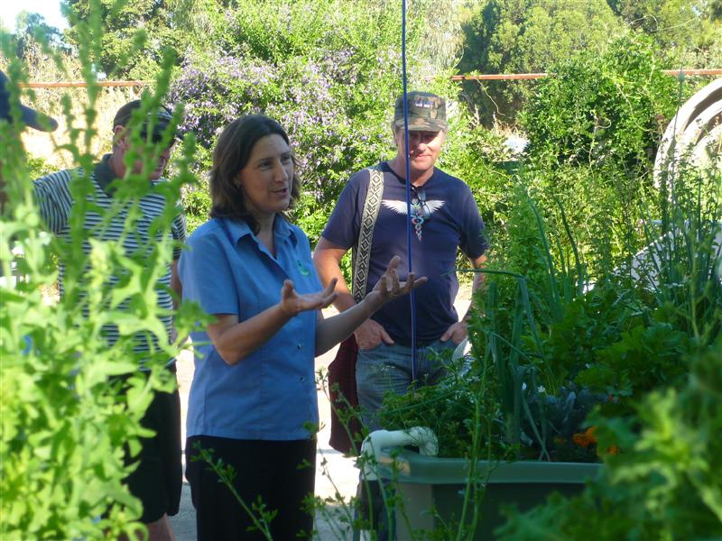 P1050665 (Medium).JPG