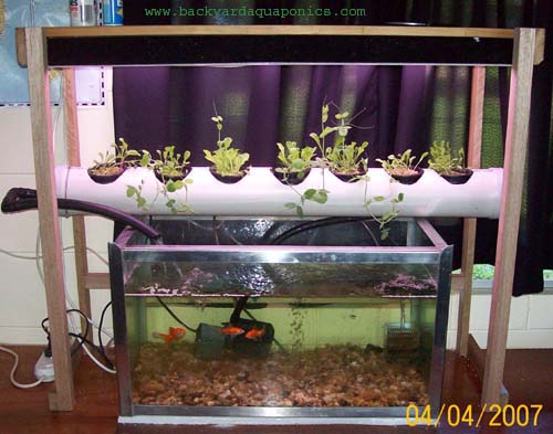 whole_system_462 copy.jpg