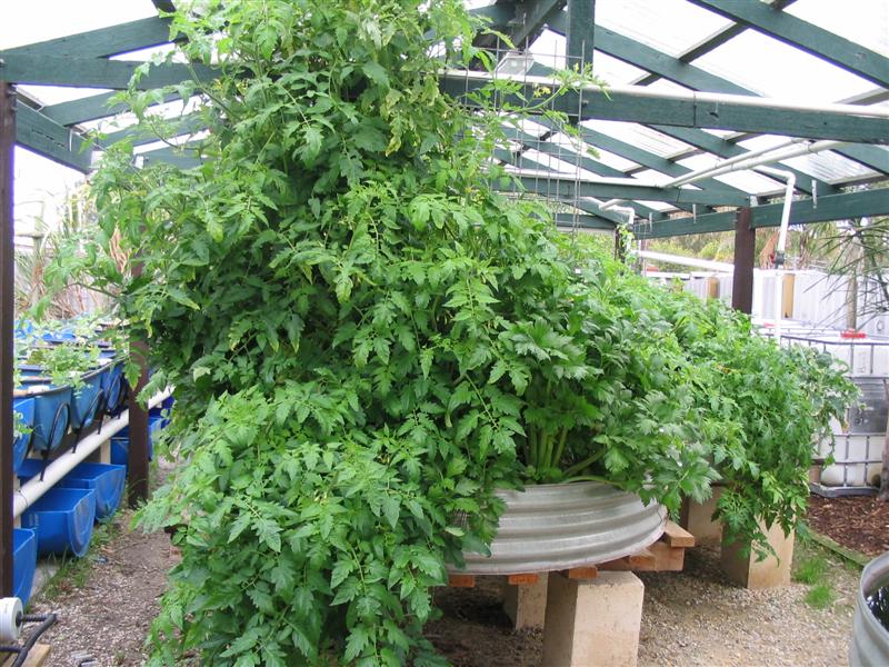 IMG_1874 (Medium).jpg