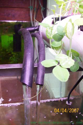 water_return_160 copy.jpg