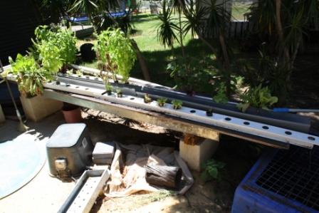 20 January 2011 004.jpg