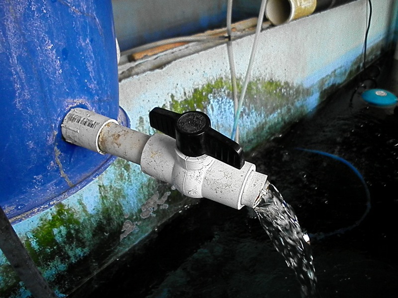 bio-drain valve.JPG