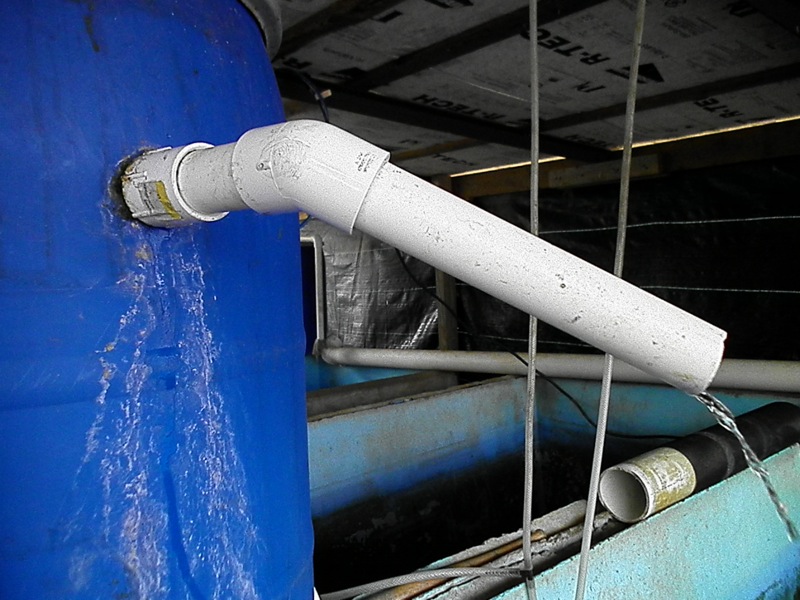 bio-top overflow.JPG