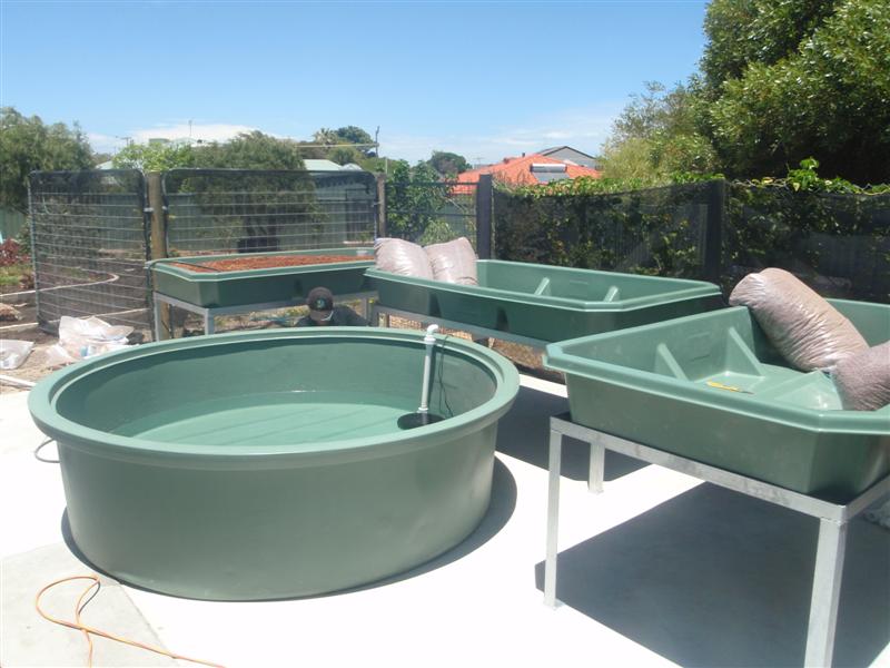 P1210748 (Medium).JPG