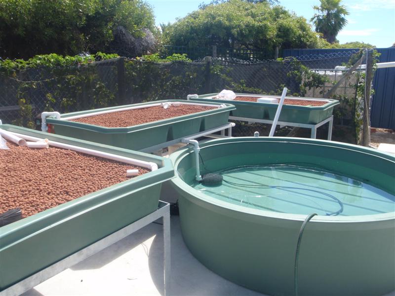 P1210750 (Medium).JPG