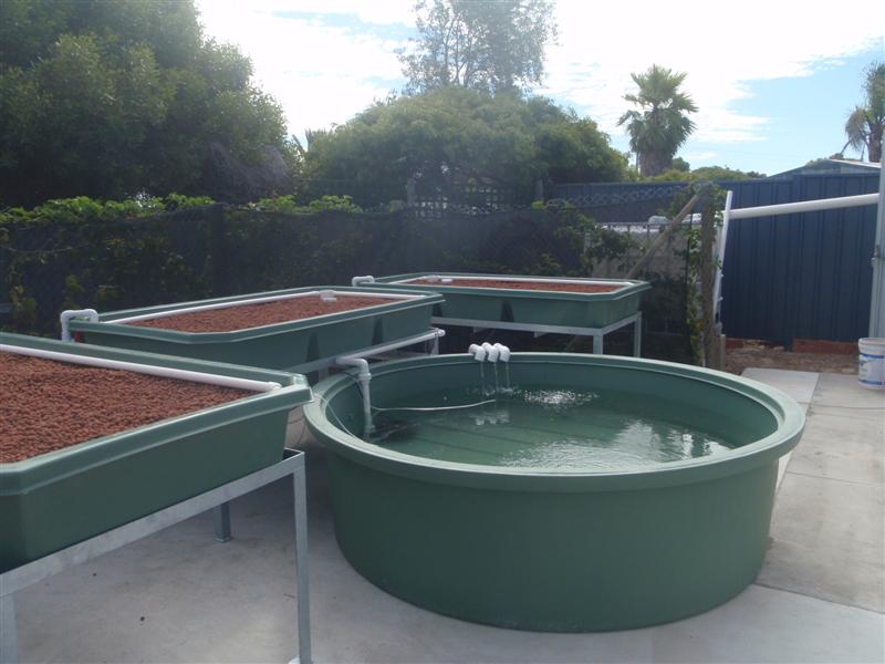 P1210752 (Medium).JPG