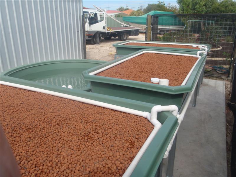 P1210754 (Medium).JPG