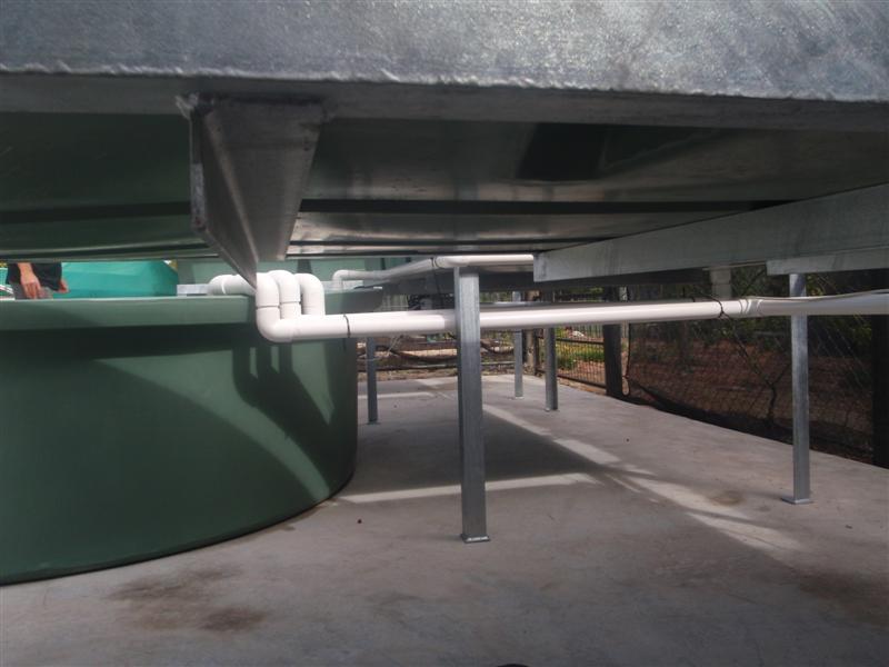 P1210753 (Medium).JPG