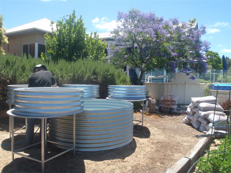 PC090618 (Medium).JPG