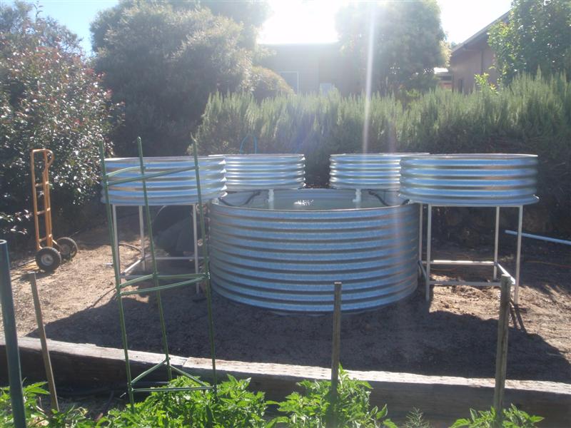 PC090620 (Medium).JPG