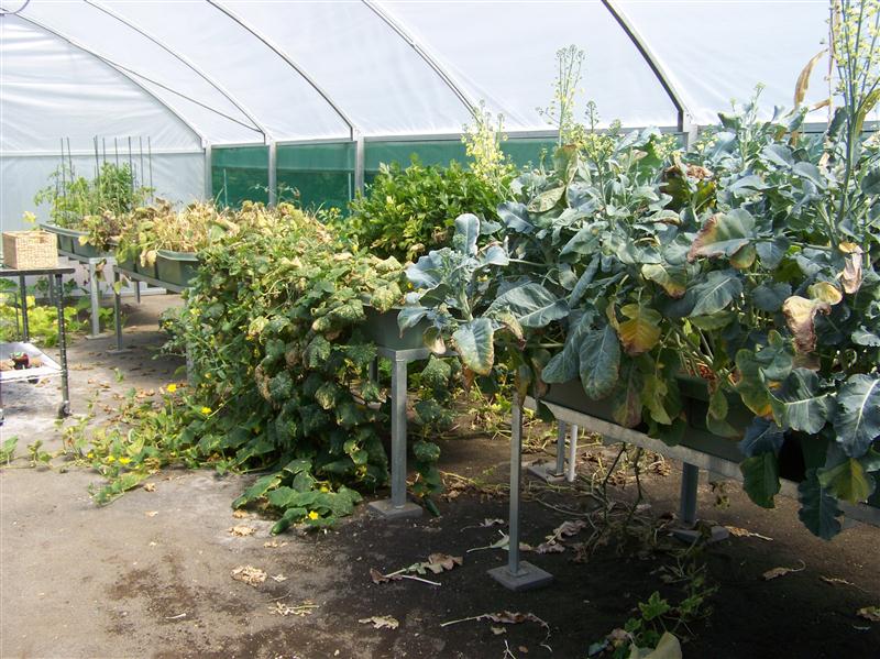 100_5906 (Custom).JPG