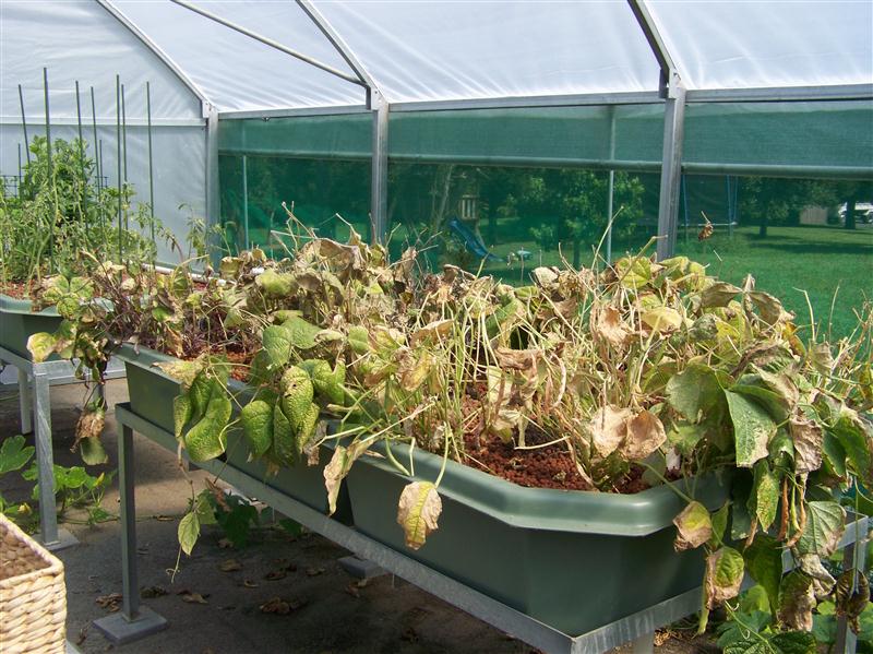 100_5912 (Custom).JPG