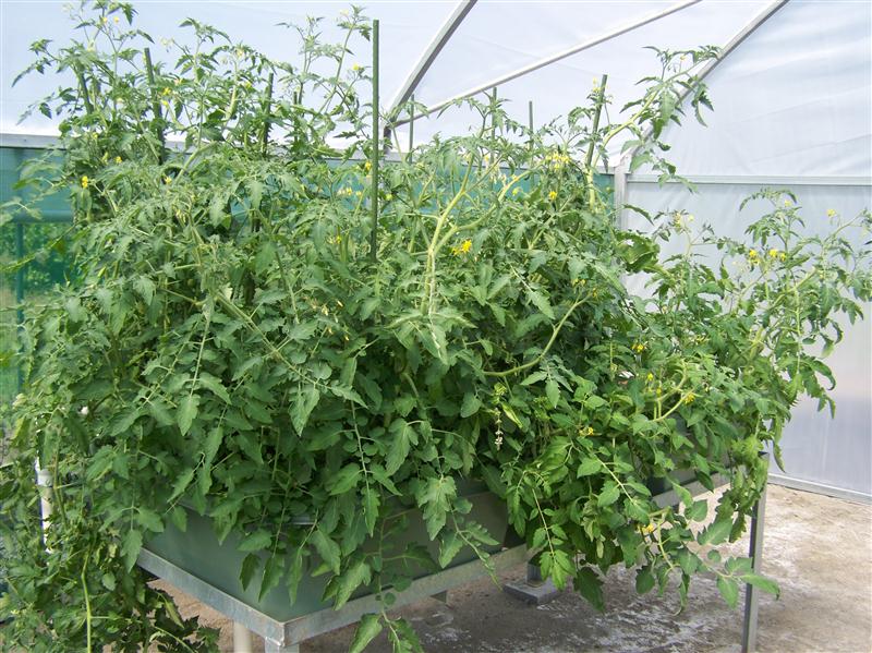 100_5914 (Custom).JPG