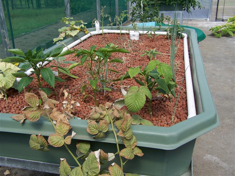 100_5909 (Custom).JPG