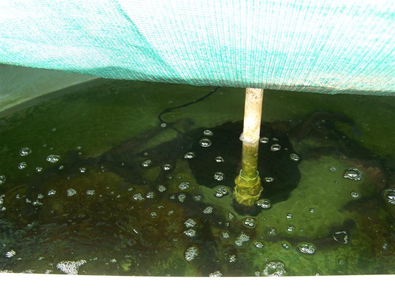 100_5915 (Custom).JPG