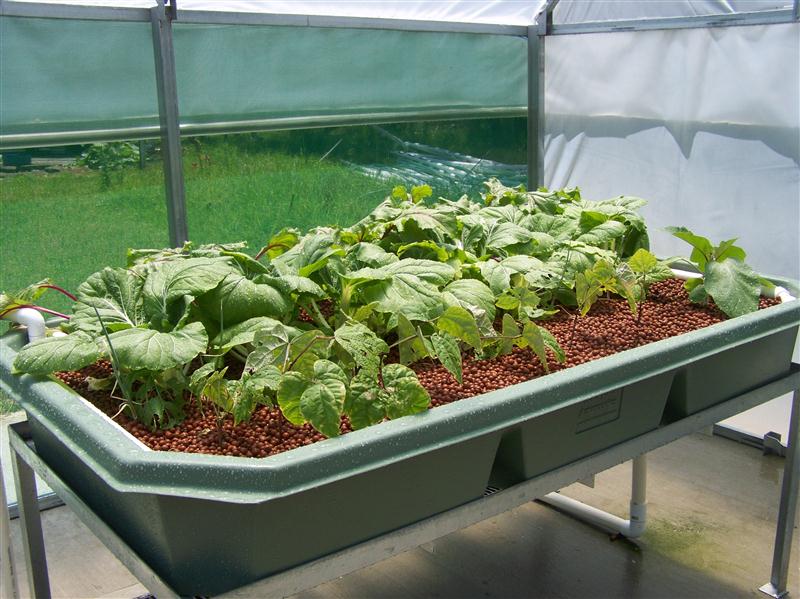 100_5881 (Custom).JPG