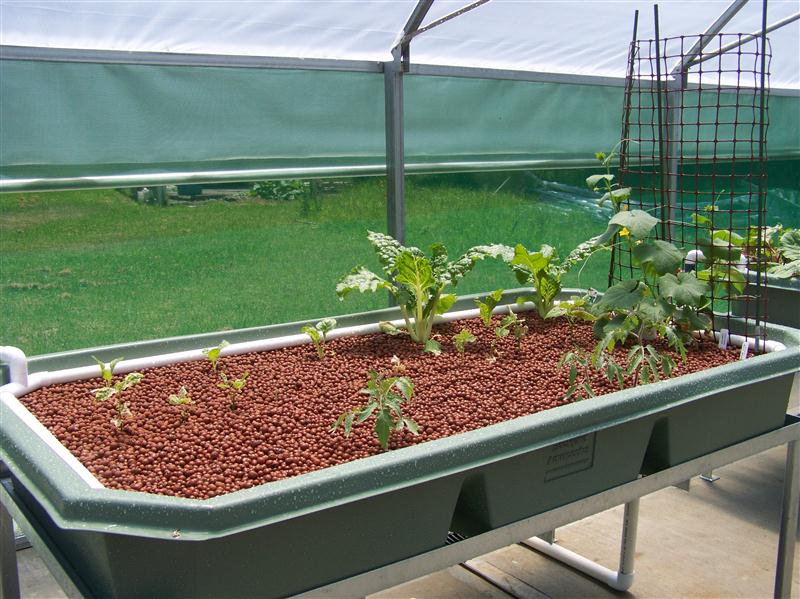 100_5880 (Custom).JPG