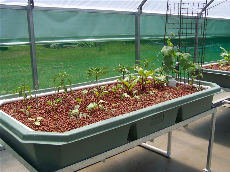 100_5879 (Custom).JPG