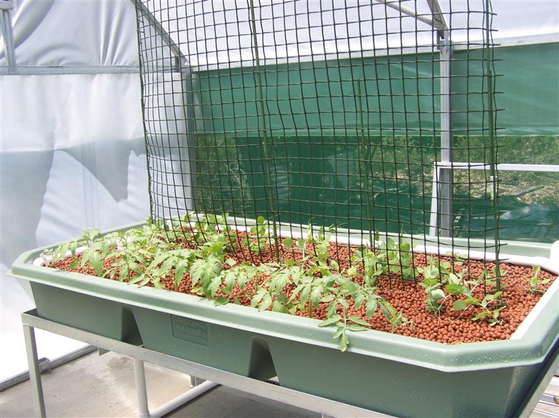 100_5884 (Custom).JPG