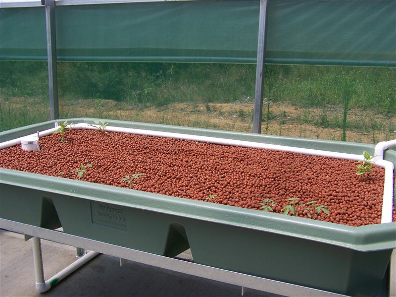 100_5889 (Custom).JPG