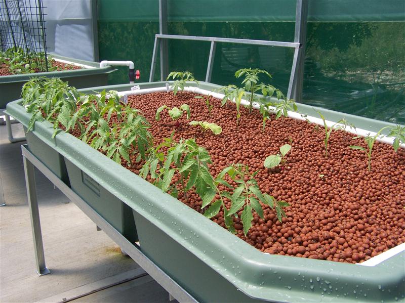 100_5890 (Custom).JPG