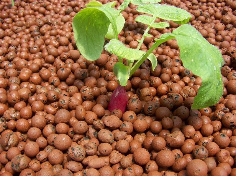 100_5891 (Custom).JPG