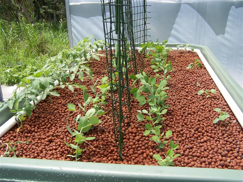 100_5892 (Custom).JPG