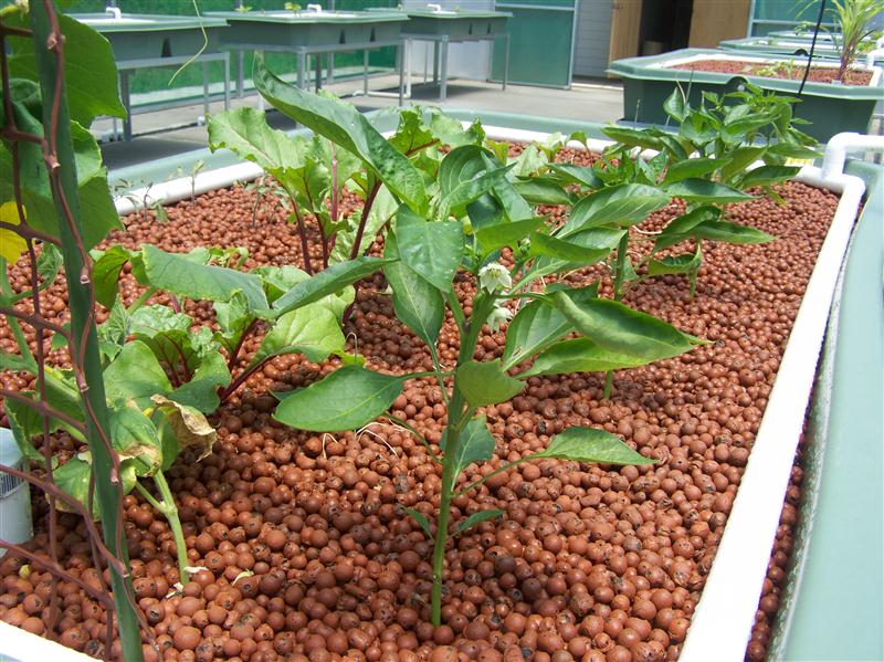 100_5897 (Custom).JPG