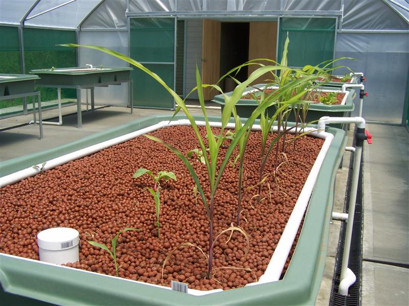 100_5898 (Custom).JPG