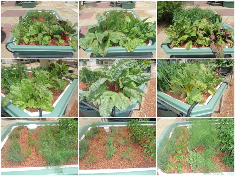 2801111 (Medium).jpg