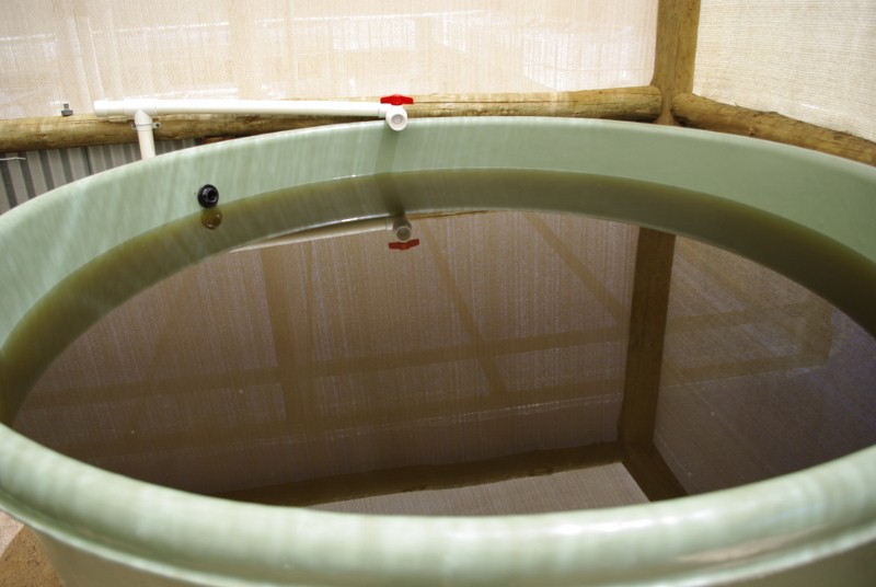 _IGP2059 (800x536).jpg