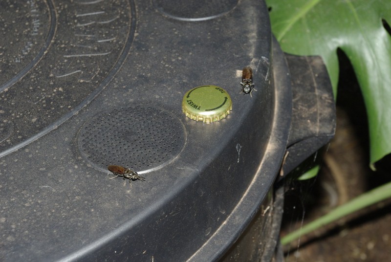 _IGP2073 (800x536).jpg