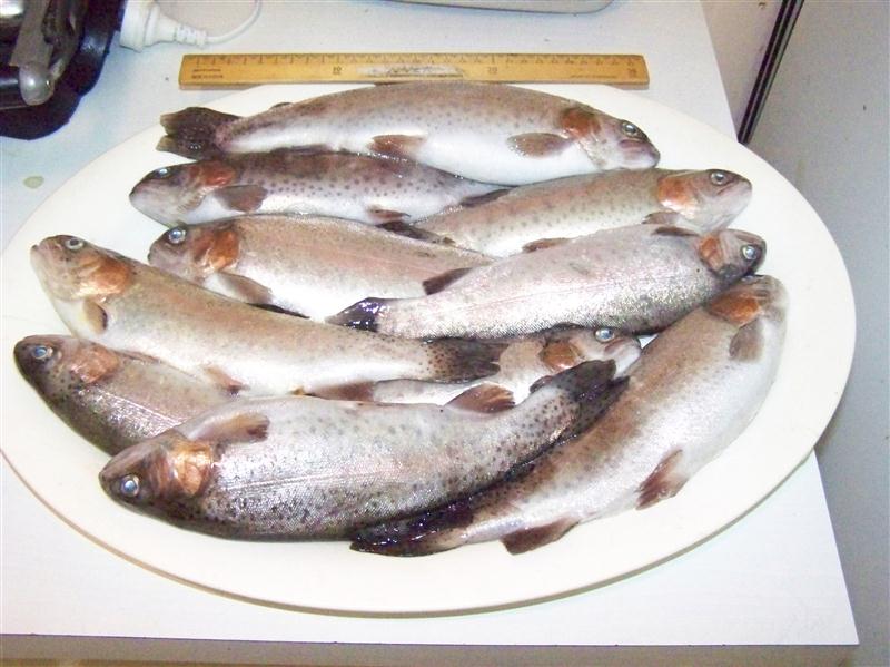 100_5925 (Custom).JPG