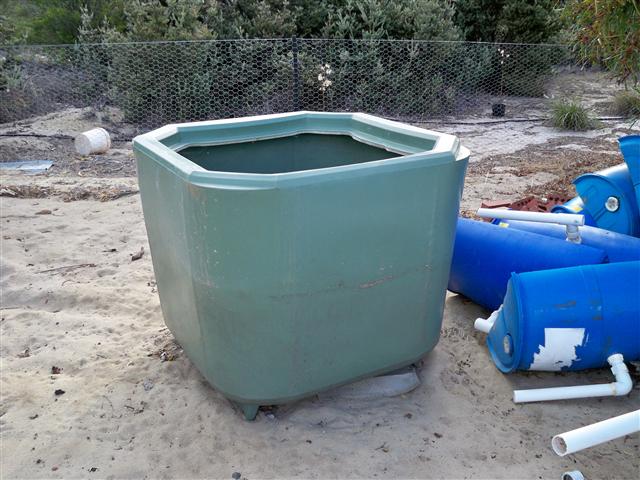 100_1754 (Small).JPG