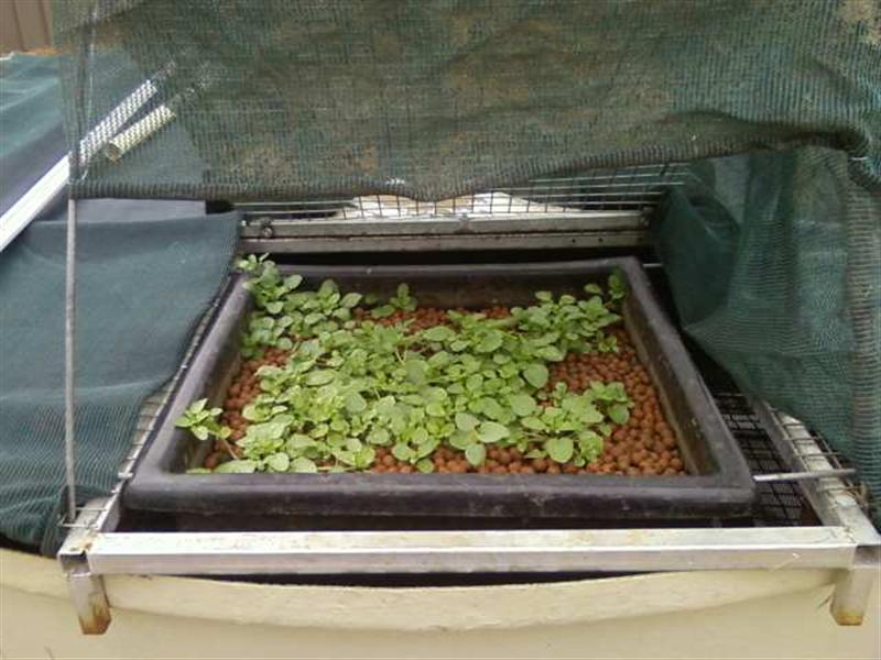 Photo0174 (Medium).jpg