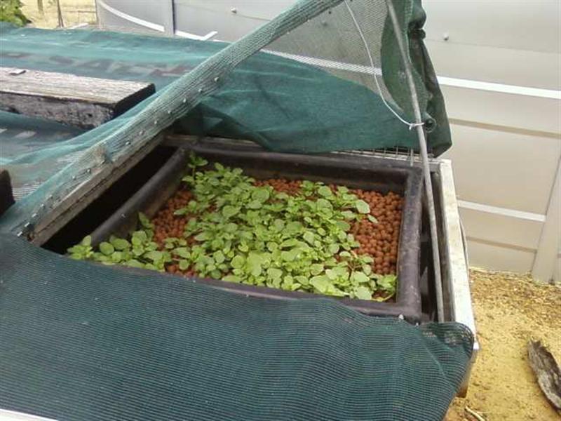 Photo0175 (Medium).jpg