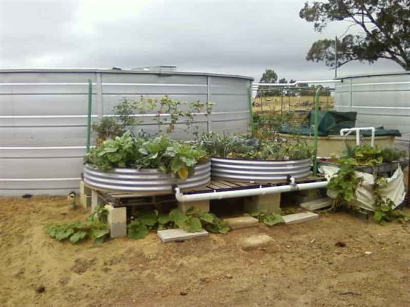 Photo0168 (Medium).jpg