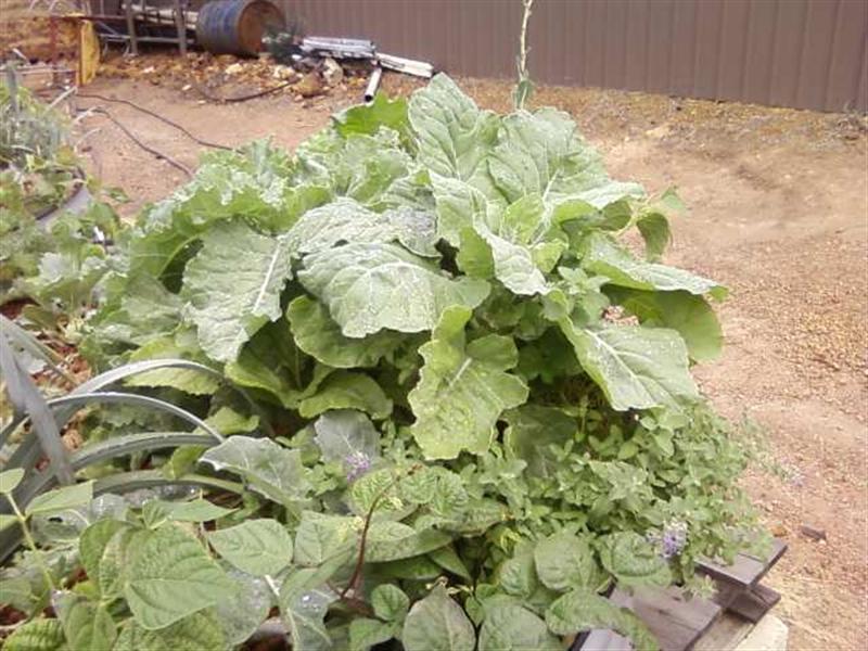 Photo0170 (Medium).jpg