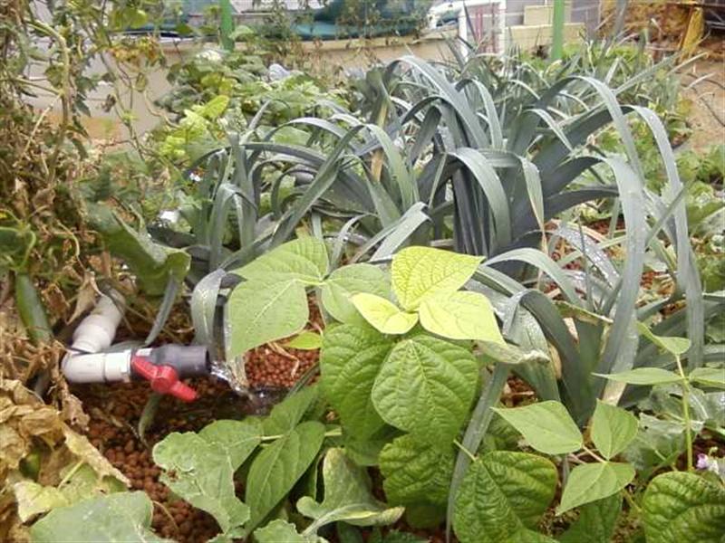 Photo0171 (Medium).jpg