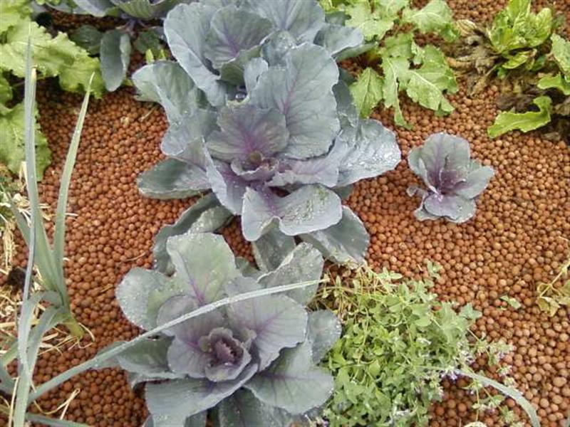 Photo0173 (Medium).jpg