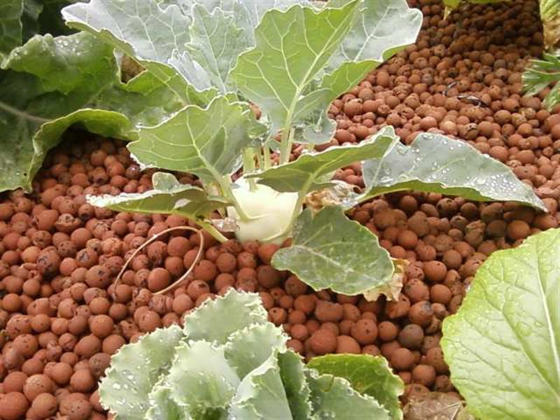 Photo0172 (Medium).jpg