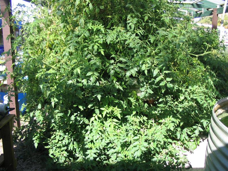 IMG_1924 (Medium).jpg