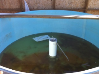 8 foot round tank.JPG