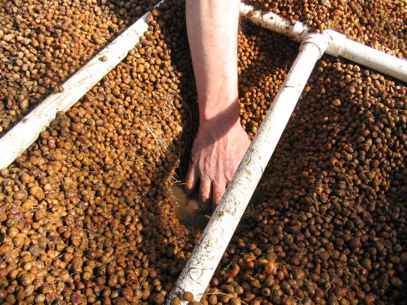 IMG_1913 (Medium).jpg