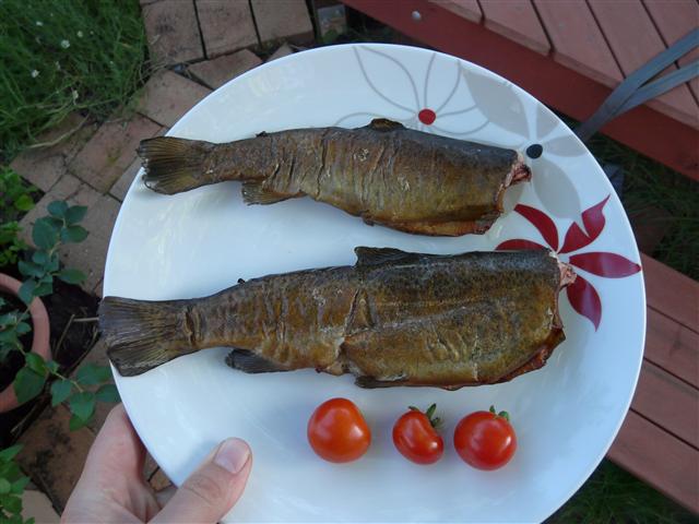 P1100054 (Custom).JPG